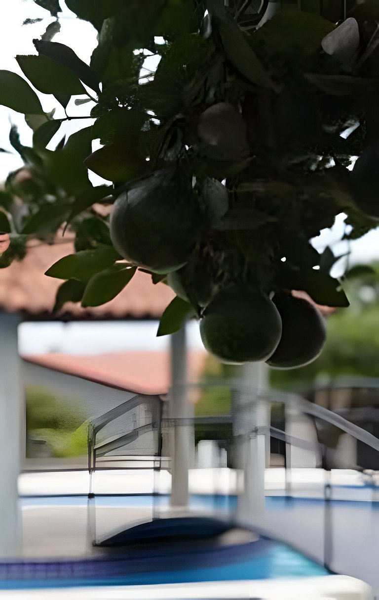 Studio Hebron: Refúgio Entre a Cidade e a Natureza