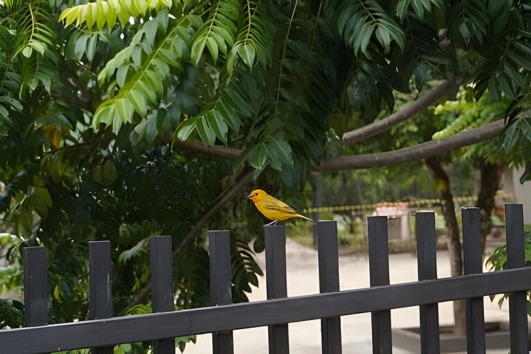 Suíte Bethel Anápolis